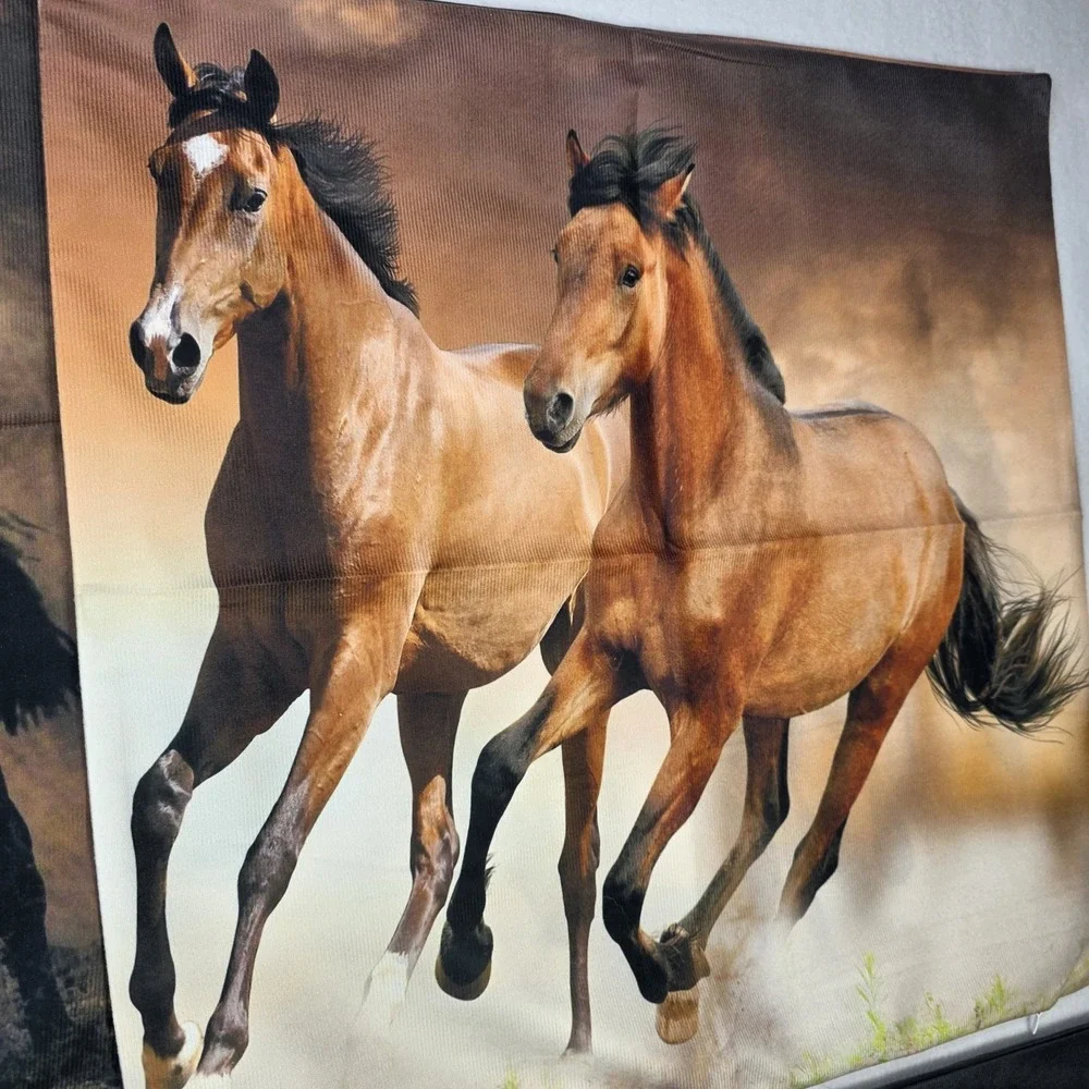Western Decor Horse Pillow Covers 19